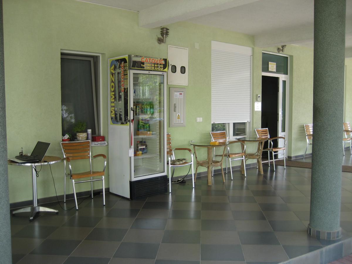Guest House Vila Mimoza 울친 외부 사진